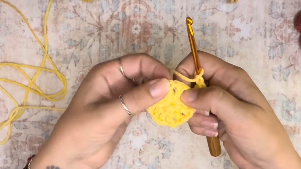 Crochet Starburst Purse