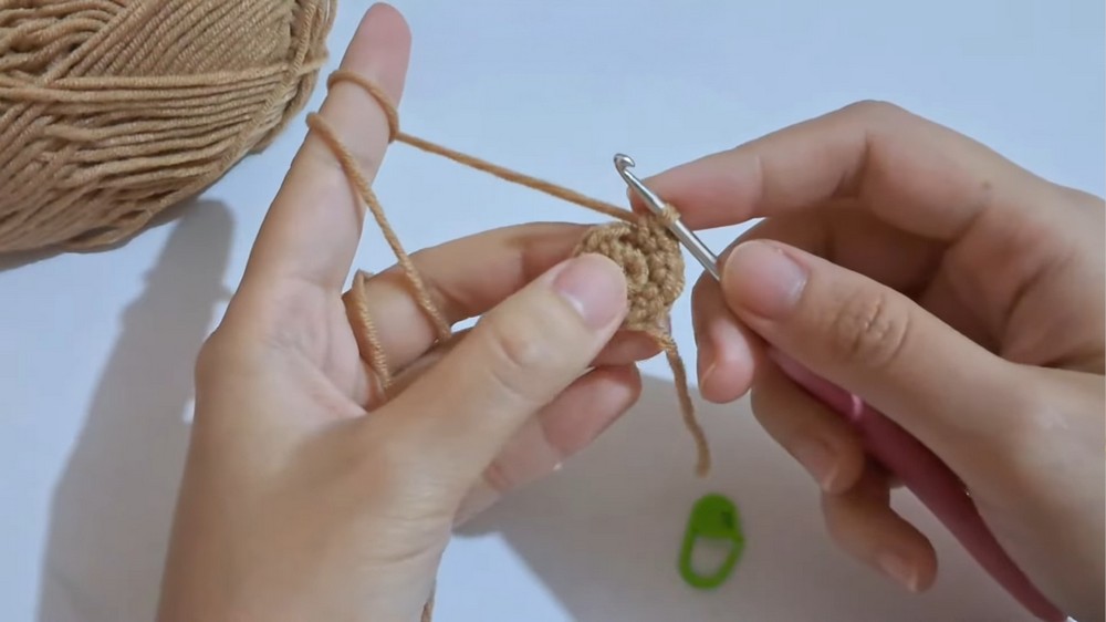 Crochet Hanging Plant Car