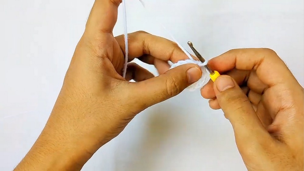 Crochet Strawberry Tart Case