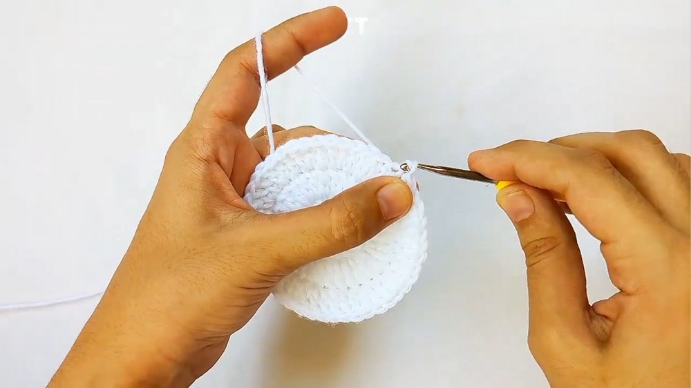 Crochet Strawberry Tart Case