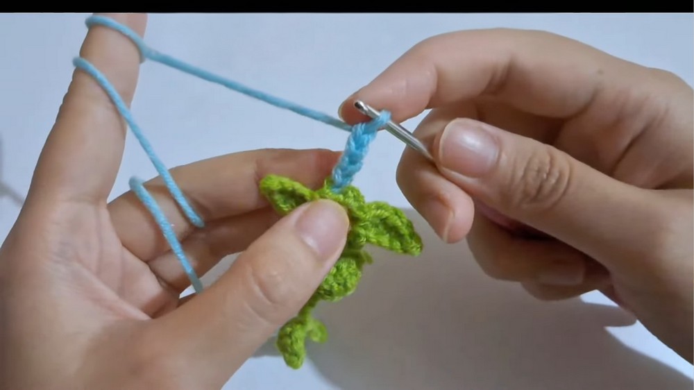 Crochet Hanging Plant Car