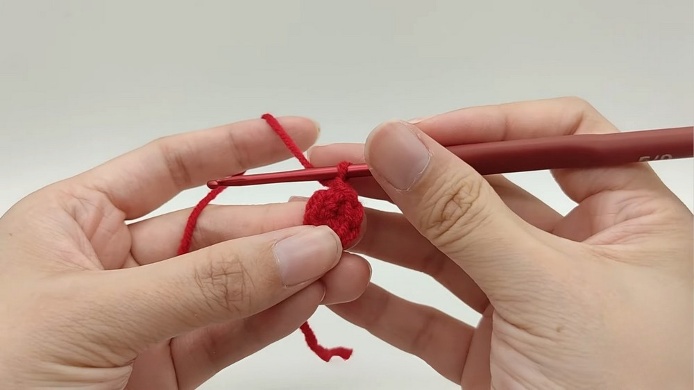 Crochet Christmas Hat
