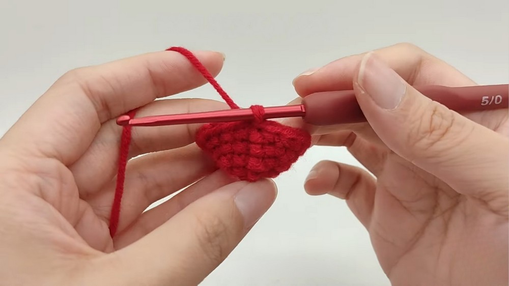 Crochet Christmas Hat