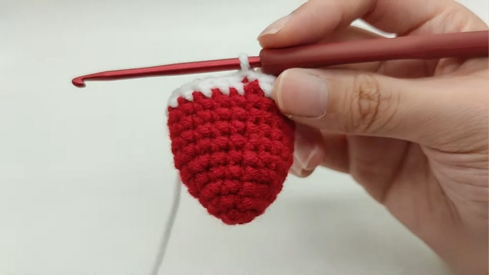 Crochet Christmas Hat