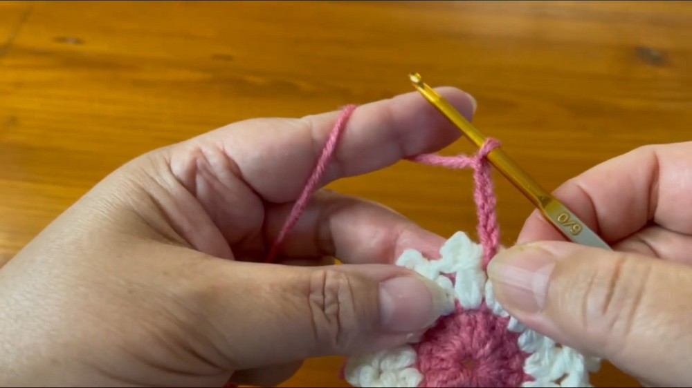 Crochet Beautiful Flower