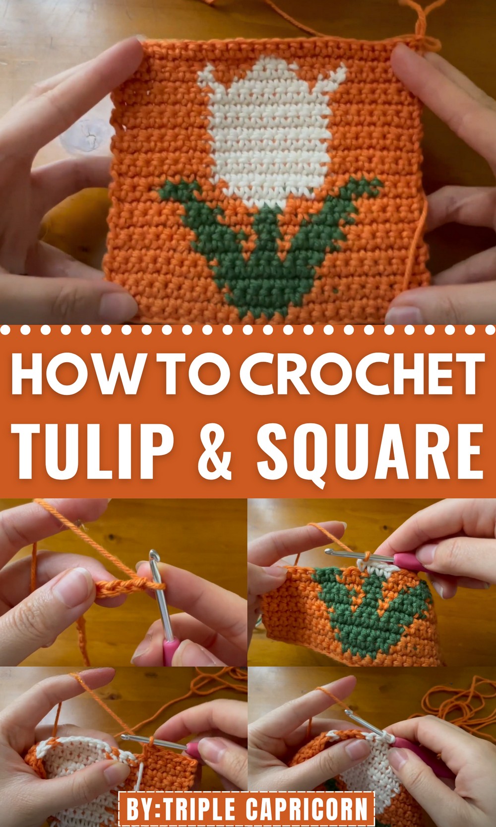 Crochet Tulip Square