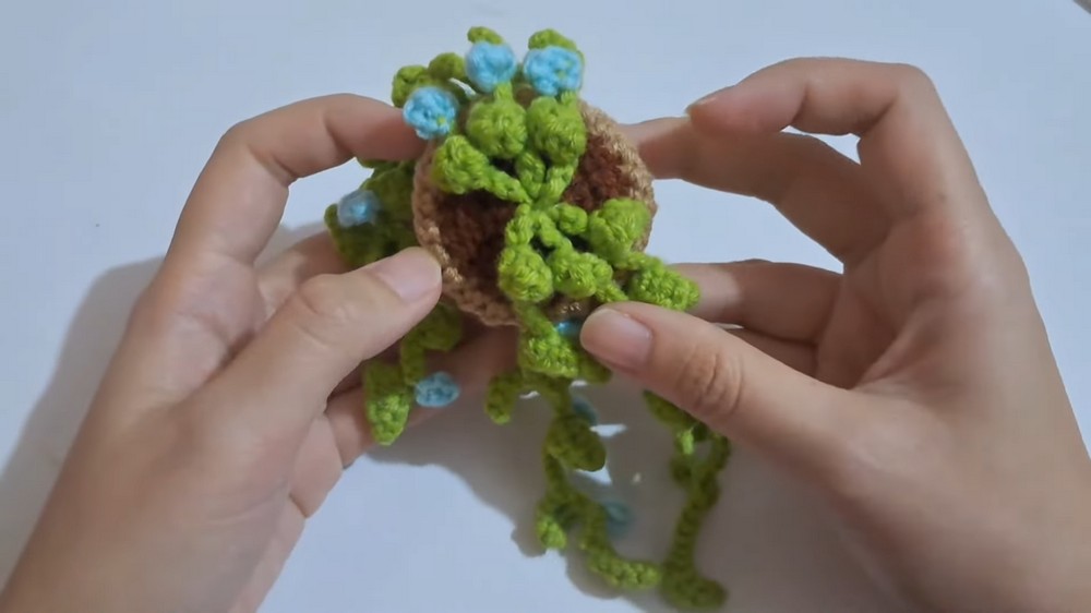 Crochet Hanging Plant Car