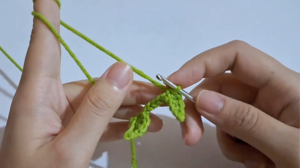 Crochet Hanging Plant Car