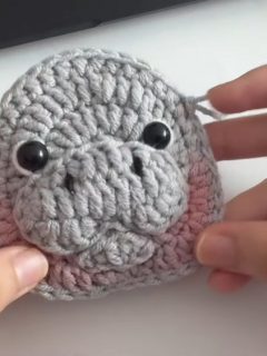 Crochet Moo Deng Pouch