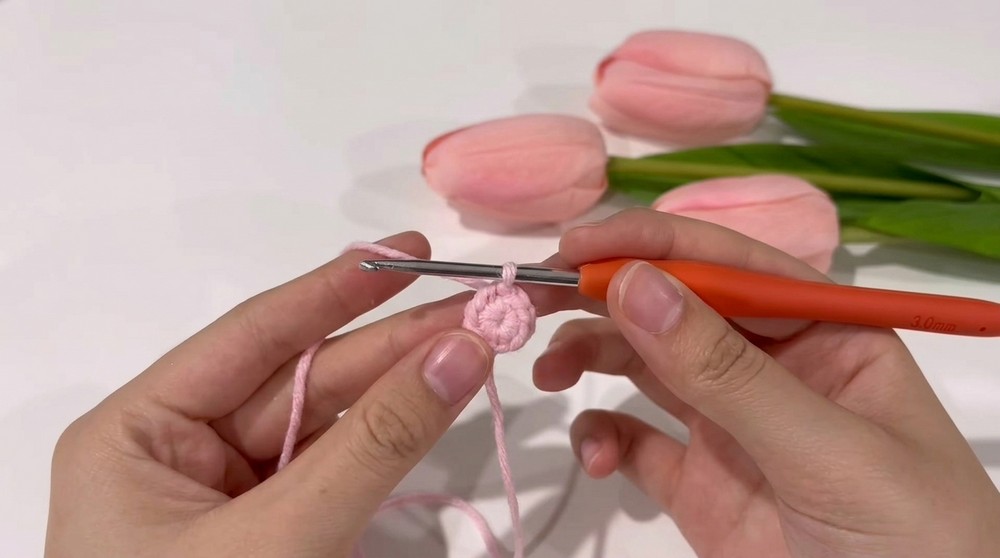 Crochet Puff Flower Mirror Pattern