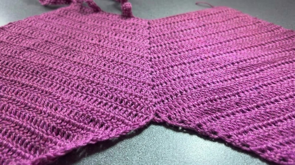 Crochet Halter Crop Top 