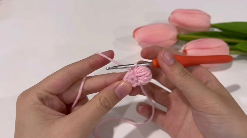 Crochet Puff Flower Mirror Pattern