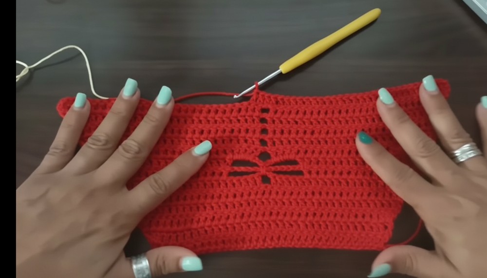 Crochet Dragonfly Halter Top