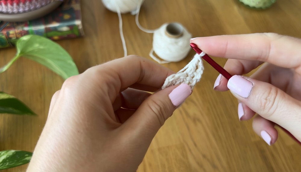 Crochet Halter Crop Top