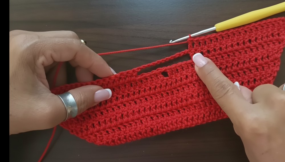 Crochet Dragonfly Halter Top