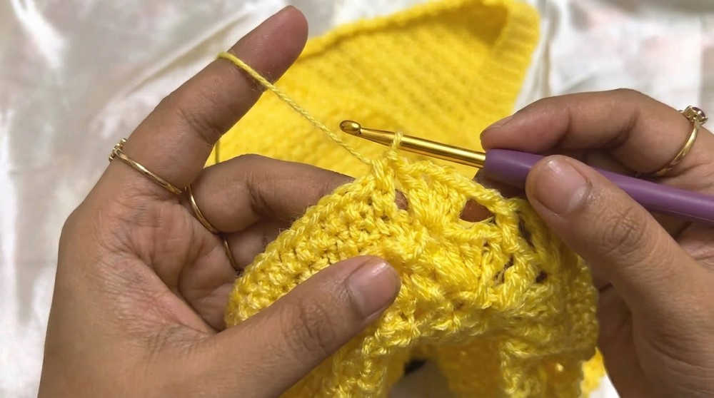 Crochet Ruffle Sleeve Crop Top Pattern