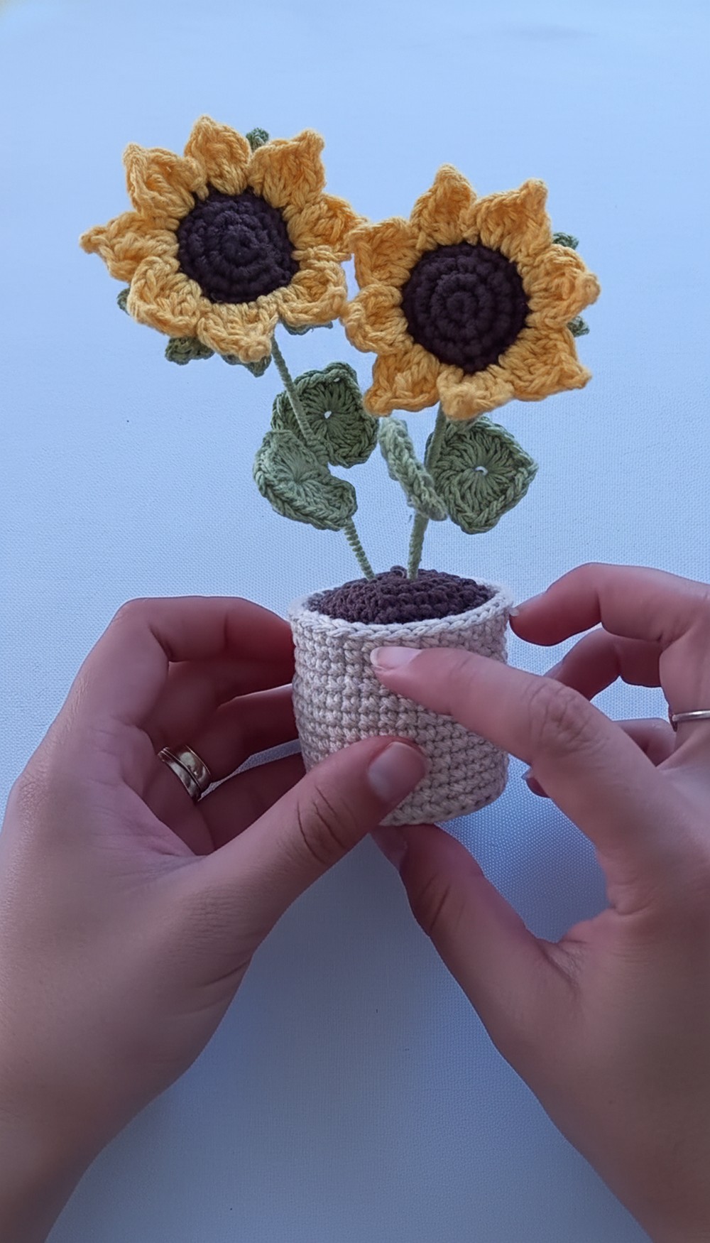 Crochet Sunflower Pot