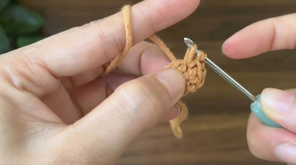 Crochet Mini Tulip Pot Pattern