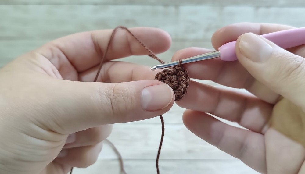 Crochet Carnivorous Plant Amigurumi Pattern