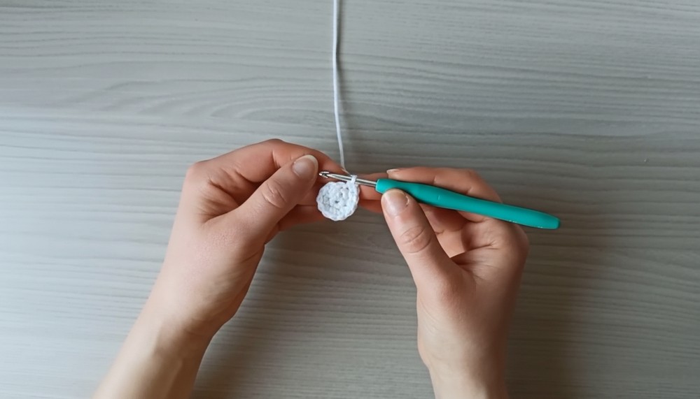 Crochet Turtle Amigurumi Pattern