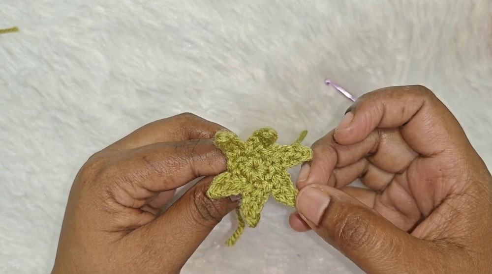 Crochet Strawberry Pattern