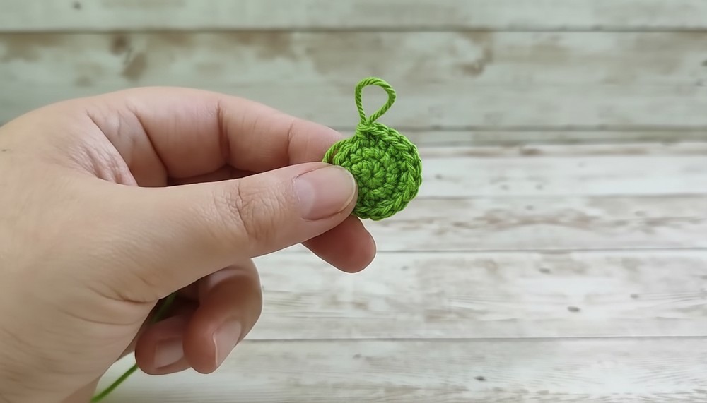 Crochet Carnivorous Plant Amigurumi Pattern