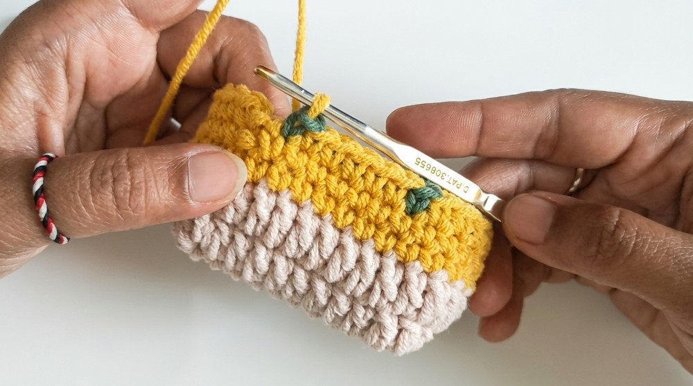 Crochet Fish Pouch Pattern