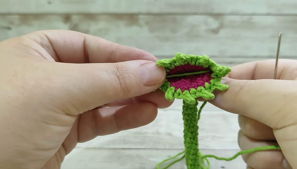 Crochet Carnivorous Plant Amigurumi Pattern