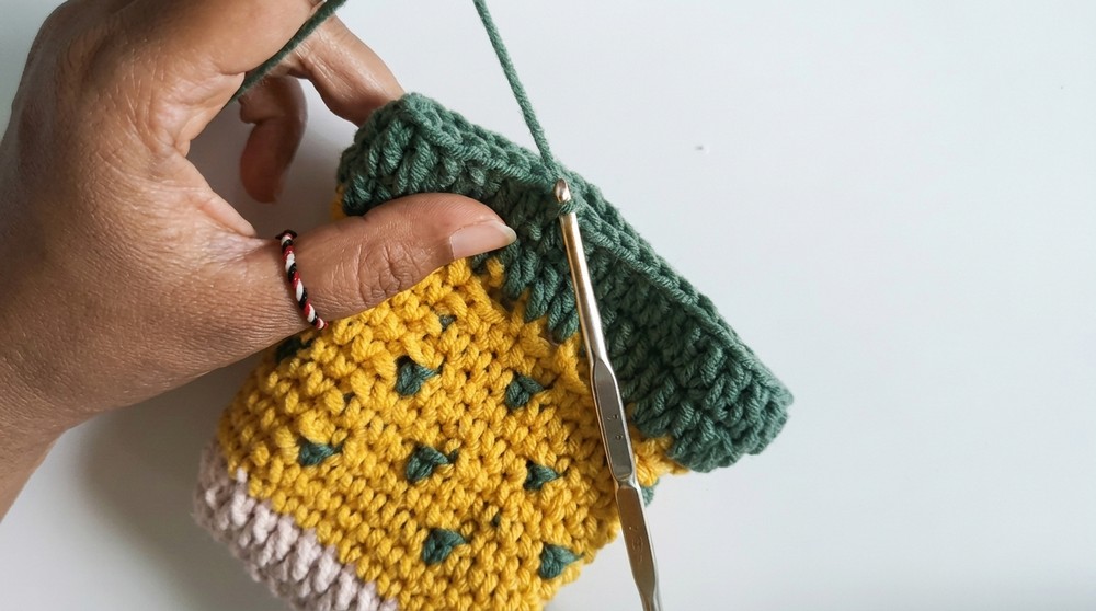 Crochet Fish Pouch Pattern