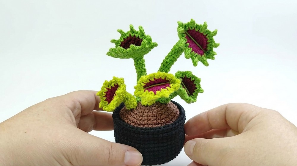 Crochet Carnivorous Plant Amigurumi Pattern