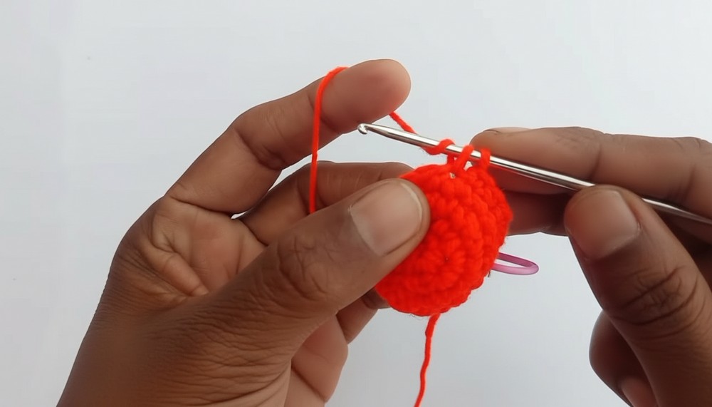 Crochet Fish Keychain Pattern