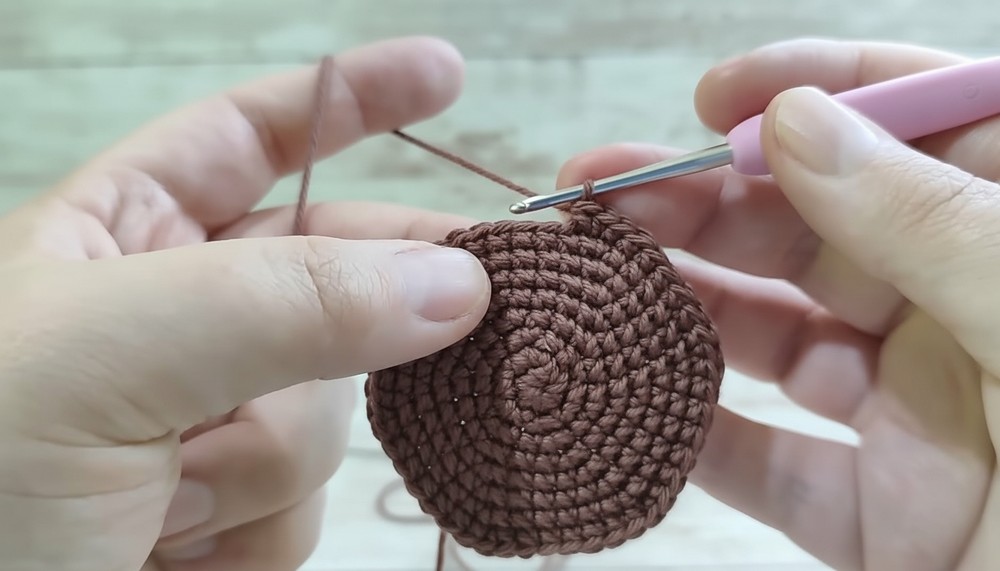 Crochet Carnivorous Plant Amigurumi Pattern