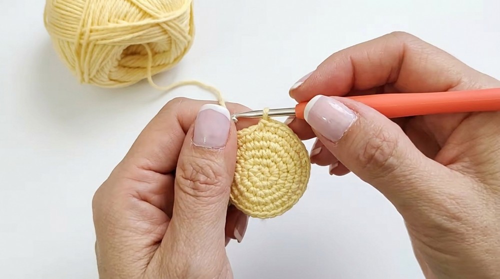 Crochet Bee Amigurumi Pattern