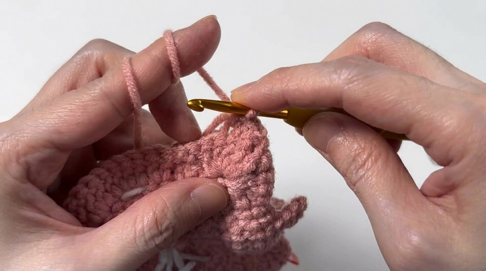 Crochet Cat Mini Pouch Pattern