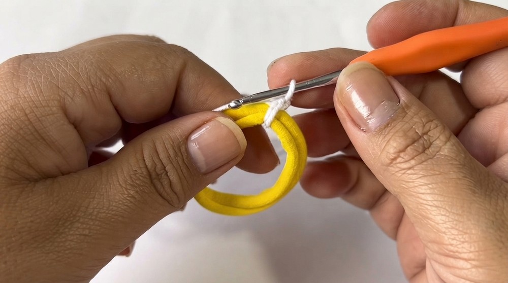 Brazilian Crochet Hair Scrunchie Pattern 1