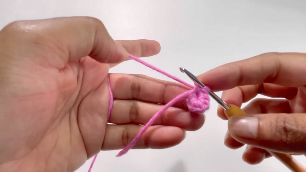 Crochet Amigurumi Tulip Pattern 4