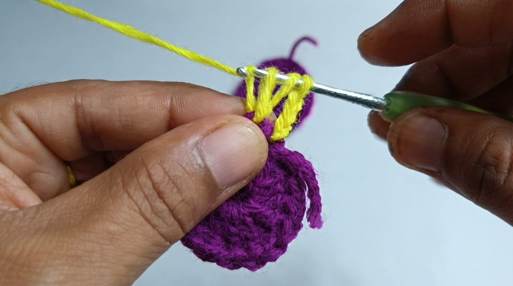 Crochet Beautiful Flower Pattern 3