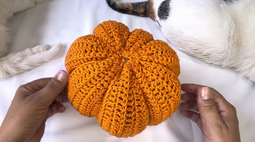 Easy Crochet Pumpkin Doorstop Pattern 5