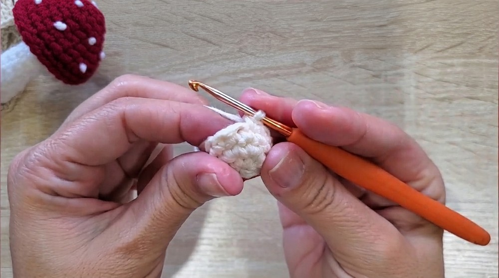 Crochet Mushroom Amigurumi Pattern 2