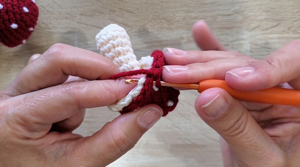 Crochet Mushroom Amigurumi Pattern 5