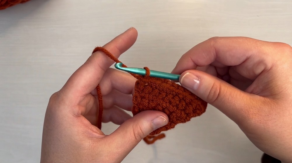 Crochet Pumpkin Pie Coaster Pattern 3
