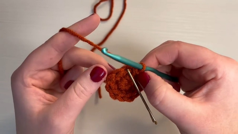 Easy Crochet Mini Mushroom Pattern 4
