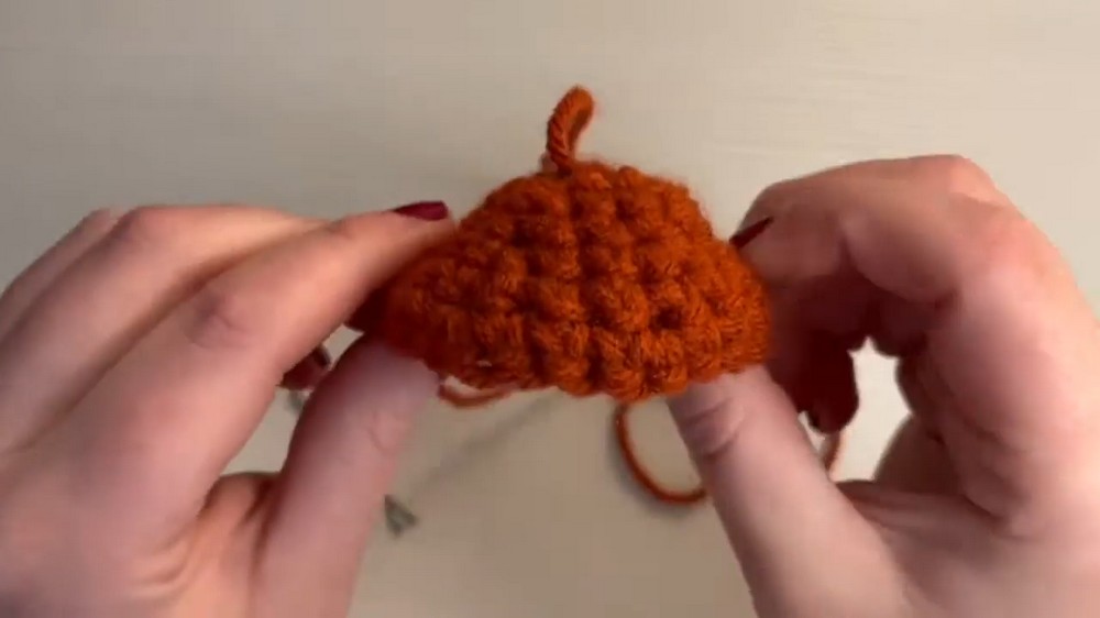 Easy Crochet Mini Mushroom Pattern 5